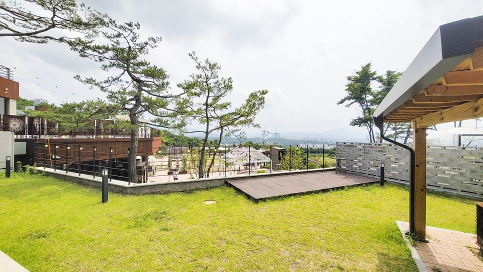 모토모토 사진