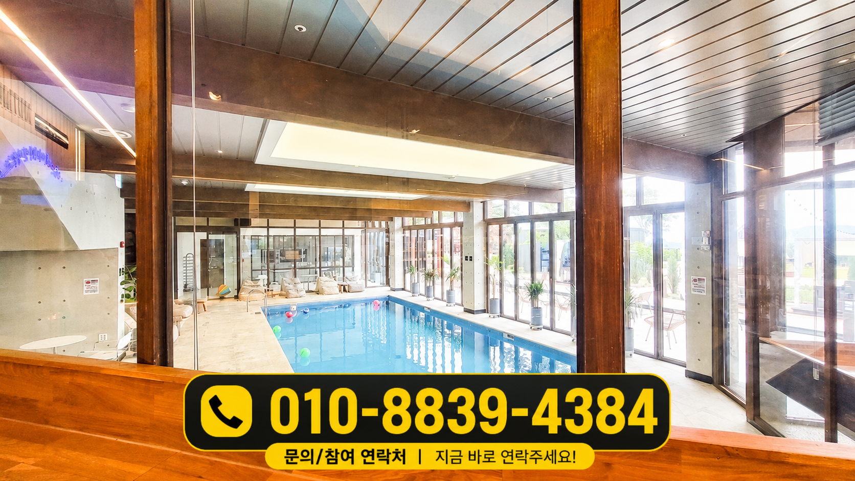모토모토 사진