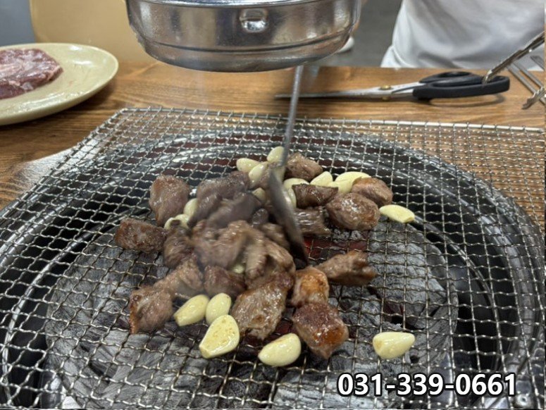 황소고집 사진